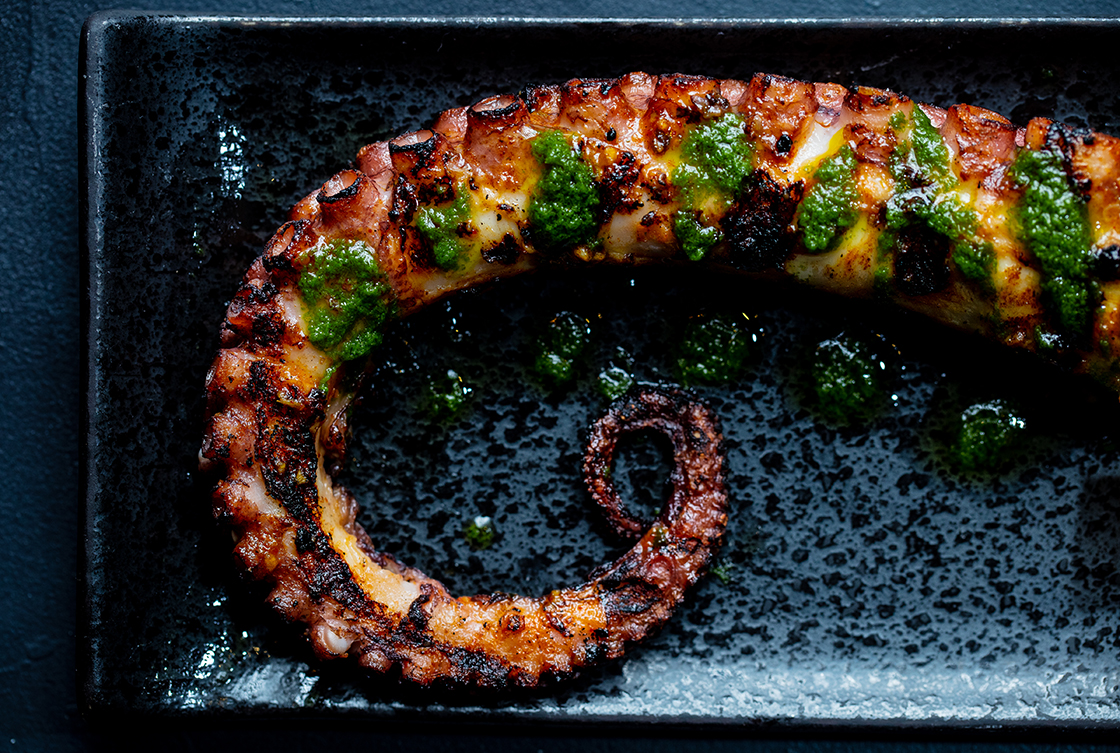 Casa Sensei Charred Octopus