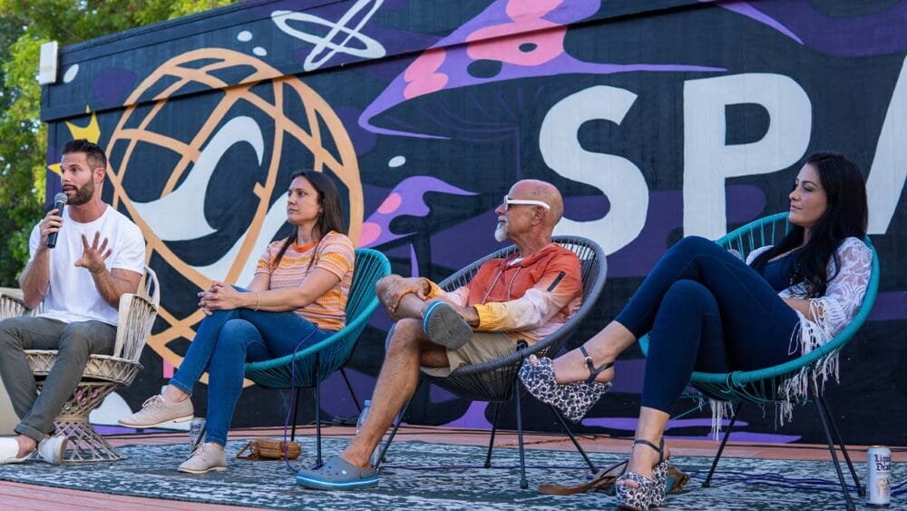 Psychedelic Therapies