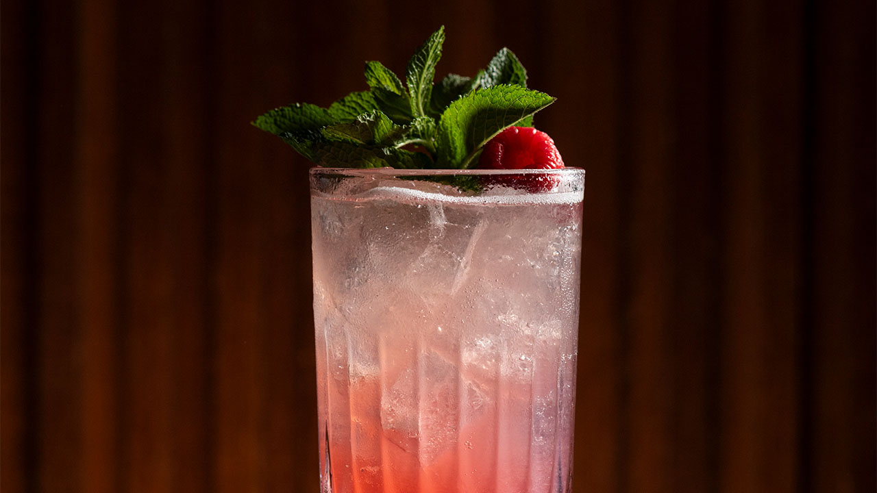 Raspberry Mojito