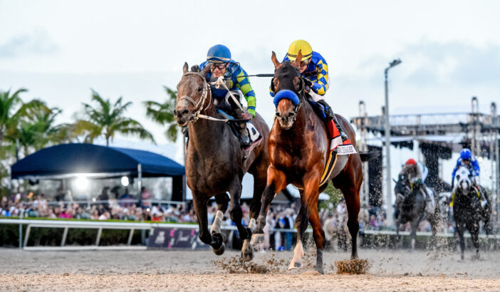 Two jockeys in colorful uniforms race neck and neck on a dirt track during the Pegasus decade anniversary, with other racers behind, a crowd watching from the stands, and palm trees in the background. Lifestyle