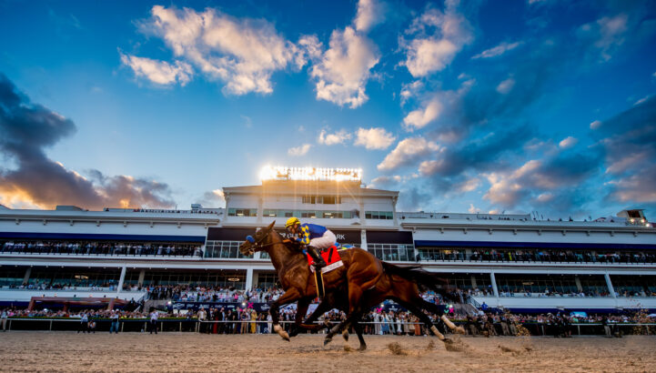 Two racehorses and jockeys speed past a grandstand packed with a crowd watching, as the dramatic sunset sky with scattered clouds creates a scene worthy of Pegasus soaring in this unforgettable decade. Lifestyle