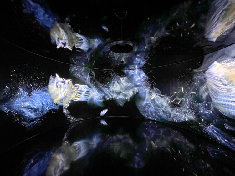 Abstract digital art with swirling blue, white, and yellow light patterns on a dark background, reminiscent of an immersive visual installation at the IGNITE Broward festival. Lifestyle