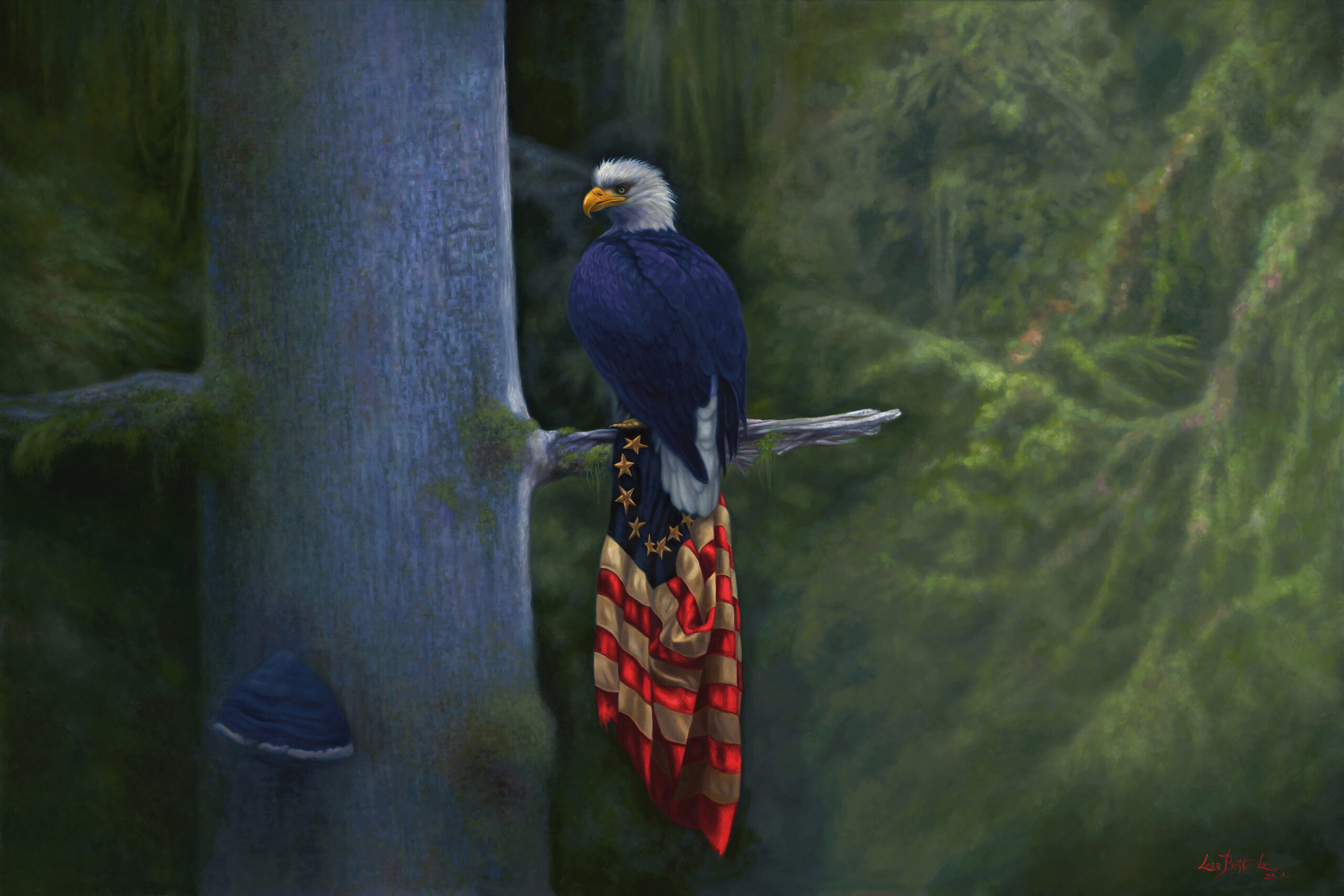 A bald eagle perches on a tree branch in a lush green forest, its tail feathers draping below like the American flag—a natural, patriotic scene celebrating America 250. Lifestyle