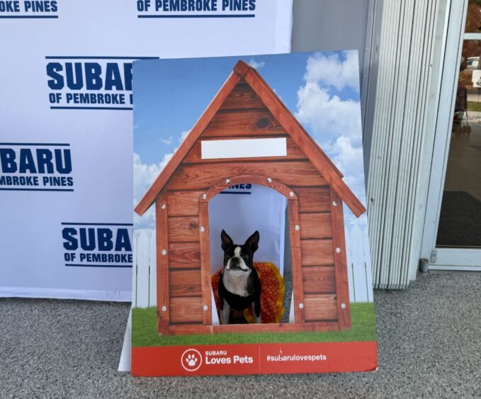 A Boston Terrier sits inside a cardboard cutout of a doghouse at a Subaru of Pembroke Pines pet adoption event. Lifestyle